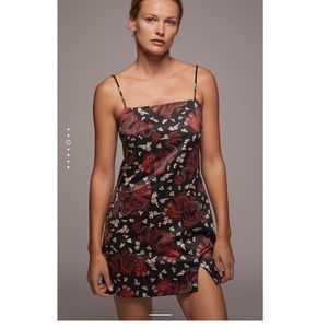 NWT Zara Dragon Dress
